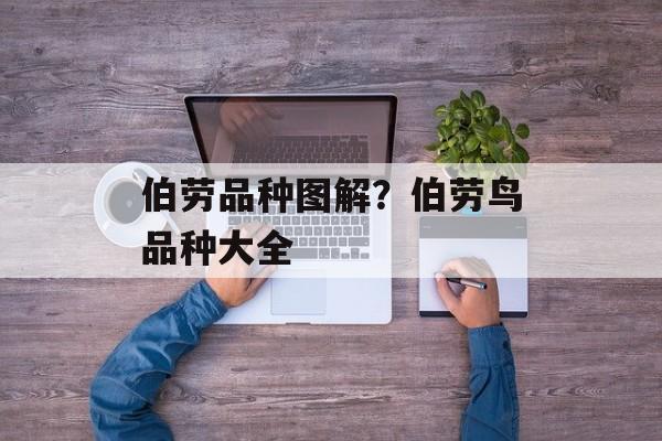 伯劳品种图解？伯劳鸟品种大全-第1张图片-