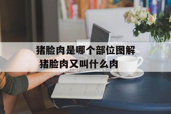 猪脸肉是哪个部位图解 猪脸肉又叫什么肉-第1张图片-