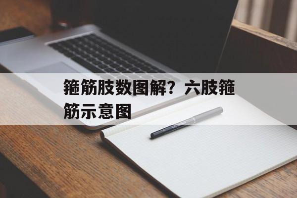 箍筋肢数图解？六肢箍筋示意图-第1张图片-