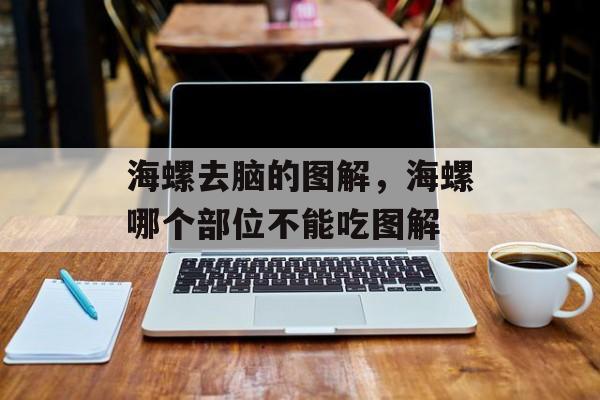 海螺去脑的图解，海螺哪个部位不能吃图解-第1张图片-