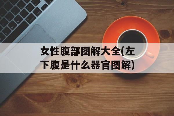 女性腹部图解大全(左下腹是什么器官图解)-第1张图片-