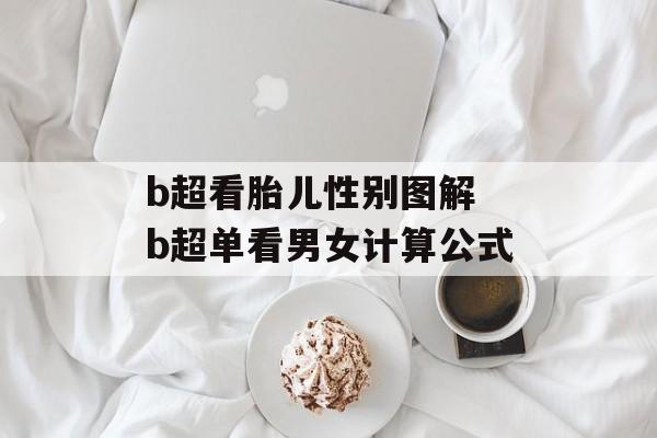 b超看胎儿性别图解 b超单看男女计算公式-第1张图片-