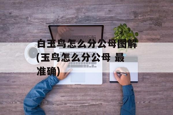 白玉鸟怎么分公母图解(玉鸟怎么分公母 最准确)-第1张图片-
