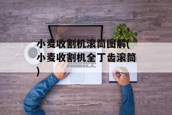 小麦收割机滚筒图解(小麦收割机全丁齿滚筒)-第1张图片-