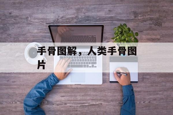 手骨图解，人类手骨图片-第1张图片-