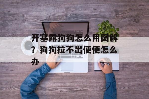 开塞露狗狗怎么用图解？狗狗拉不出便便怎么办-第1张图片-