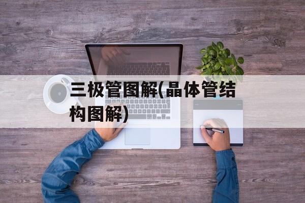 三极管图解(晶体管结构图解)-第1张图片-