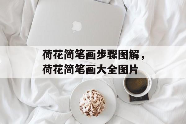 荷花简笔画步骤图解，荷花简笔画大全图片-第1张图片-