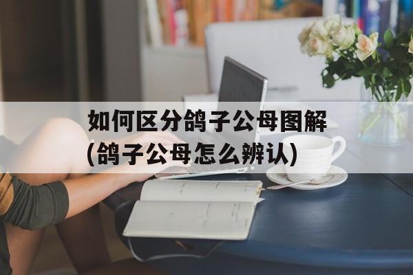 如何区分鸽子公母图解(鸽子公母怎么辨认)-第1张图片-