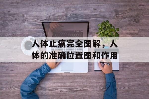 人体止痛完全图解，人体的准确位置图和作用-第1张图片-