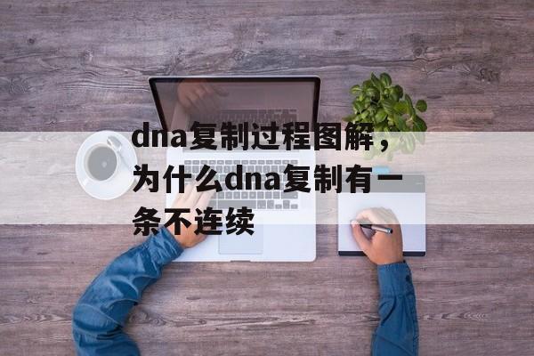 dna复制过程图解，为什么dna复制有一条不连续-第1张图片-