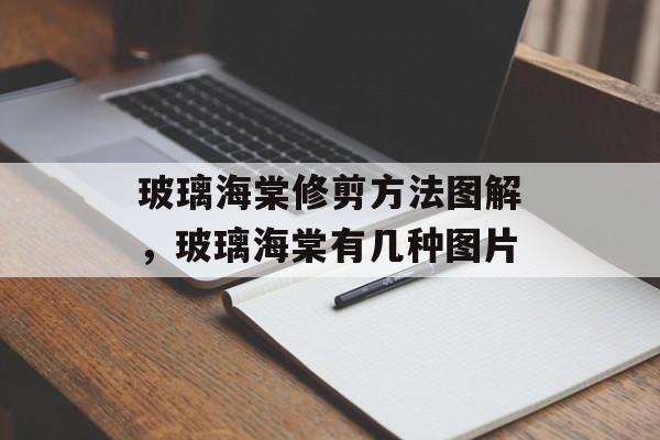 玻璃海棠修剪方法图解，玻璃海棠有几种图片-第1张图片-