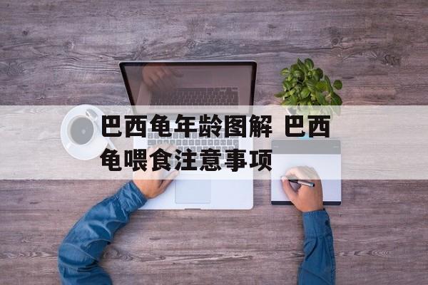 巴西龟年龄图解 巴西龟喂食注意事项-第1张图片-