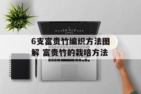 6支富贵竹编织方法图解 富贵竹的栽培方法-第1张图片-