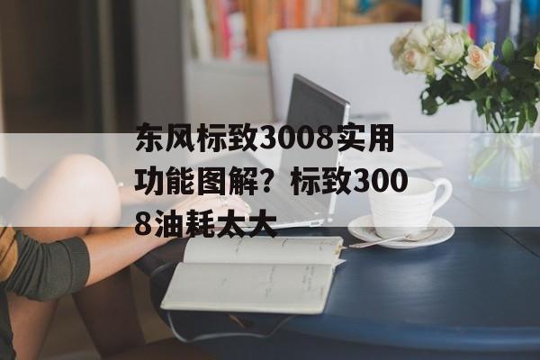 东风标致3008实用功能图解？标致3008油耗太大-第1张图片-