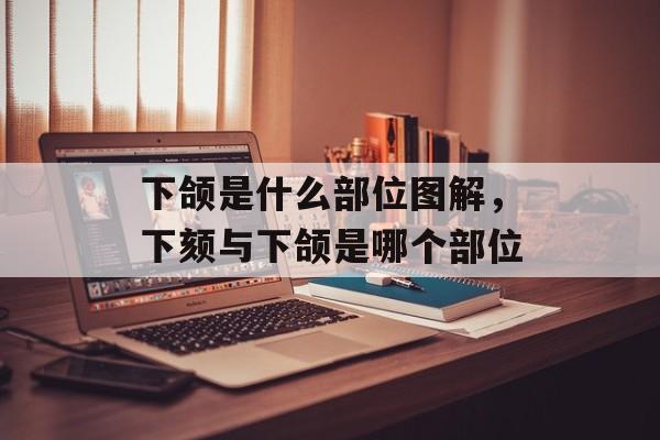 下颌是什么部位图解，下颏与下颌是哪个部位-第1张图片-
