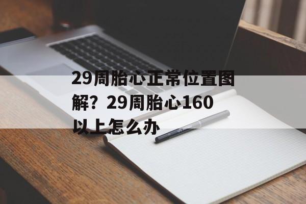 29周胎心正常位置图解？29周胎心160以上怎么办-第1张图片-