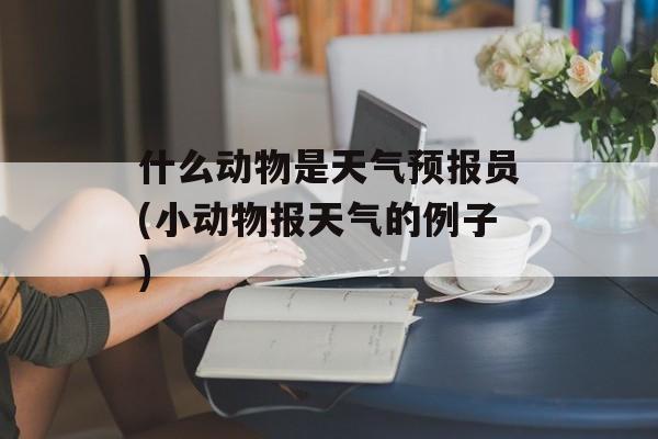 什么动物是天气预报员(小动物报天气的例子)-第1张图片-