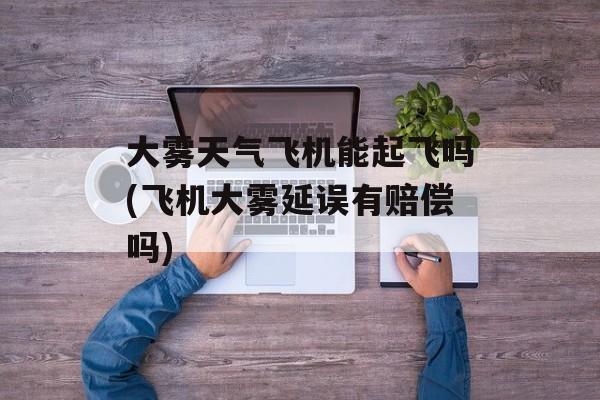 大雾天气飞机能起飞吗(飞机大雾延误有赔偿吗)-第1张图片-